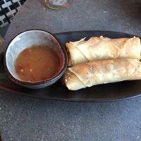 Spring rolls at Asia in Oslo