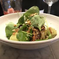 Starter at Graanmarkt 13 in Antwerpen