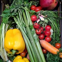  at Basic - Rheinstr in Munich