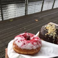 Vegan raspberry doughnut and vegetarian chocolate doughnut at The Rolling Donut - Bachelors Walk in Dublin