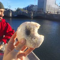 Lemon poppyseed donut  at The Rolling Donut - Bachelors Walk in Dublin