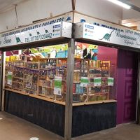 Outside at Brontosaurus Vegan Lifestyle Store in Swansea