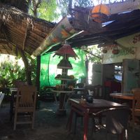 Golden Bamboo  at Golden Bamboo in Bagan