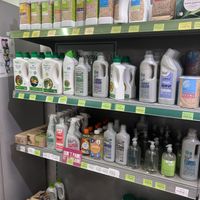   at World Vegan in Prague