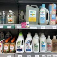 cleaners at World Vegan in Prague