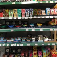 Rayon veganz at World Vegan in Prague