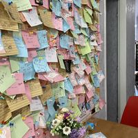   at Veganio in Prague