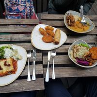 Lasagne meal deal, fried dumplings + spring roll, curry, buddha bowl at Nordvegan in Oslo
