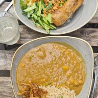 Noodles and Japanese curry at Nordvegan in Oslo