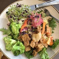 Rainbow bowl  at Nordvegan in Oslo