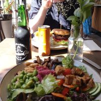 Garden salad and burger at Nordvegan in Oslo