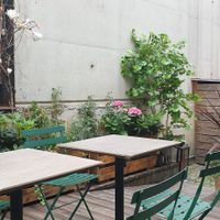 Terrace garden at Nordvegan in Oslo