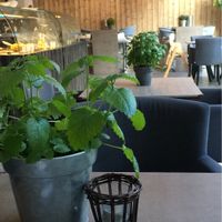 Nordvegan dining area   at Nordvegan in Oslo