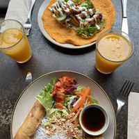 Spring rolls & wrap   at Nordvegan in Oslo