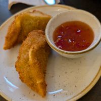 Crispy Fried Gyoza at Nordvegan in Oslo