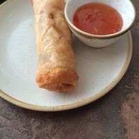 Involtini primavera at Nordvegan in Oslo