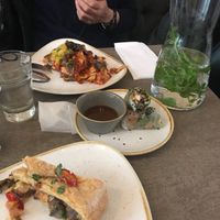 Vegan lasagna, summer rolls, and filled pie at Nordvegan in Oslo