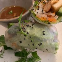 Spring Rolls at Nordvegan in Oslo