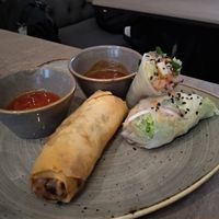 Spring roll and summer roll at Nordvegan in Oslo