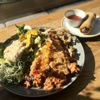 Had the enchiladas with tofu, salad & hummus, fried mushrooms and a spring roll on the side at Nordvegan in Oslo