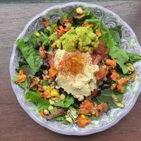 hummus burrito bowl top down view at Fat Cat Neighborhood Bistro - 팻캣 in Seoul