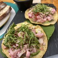 Tostadas Aguamarina at Aura Vegana in Mexico City
