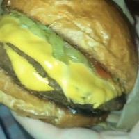 Vegan ‘sheese’ burger  at The Full Nelson in South East London