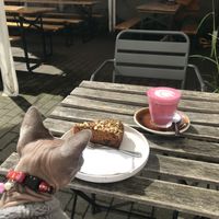   at Full Circle - Zuid in Ghent