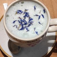 Blue matcha at Holy Cow in Edinburgh