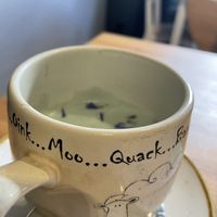 Blue matcha was our favourite   at Holy Cow in Edinburgh
