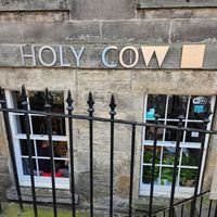  at Holy Cow in Edinburgh