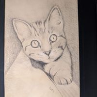  at Holy Cow in Edinburgh