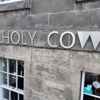  at Holy Cow in Edinburgh