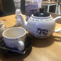   at Holy Cow in Edinburgh