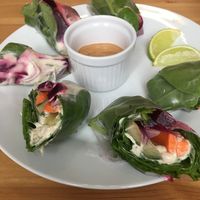 Delicious spring rolls! Amazing sauce! at Holy Cow in Edinburgh