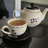   at Holy Cow in Edinburgh