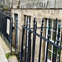   at Holy Cow in Edinburgh