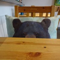 every chair has an animal pillow - so sweet!  at Holy Cow in Edinburgh