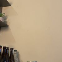Flies  at Holy Cow in Edinburgh