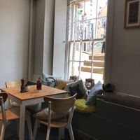 View at Holy Cow in Edinburgh