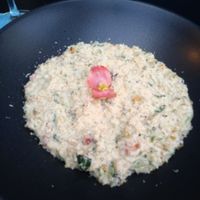 Risotto at Lime Bistro in Athens