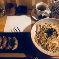 Yasai yaki udon and gyoza (vegan dumplings) at Taikichi in Limerick