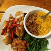 Bolivian Saltanias at Tumerico in Tucson