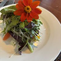 Mixed green lettuce salad. Vegan and GF!   at JO2 in Kapaa