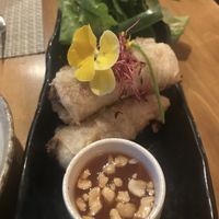 Spring rolls at JO2 in Kapaa