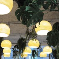 Nature is everywhere in SO NAT!! at So Nat - Bourdaloue in Paris