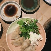 gyoza at Megumi in Osaka