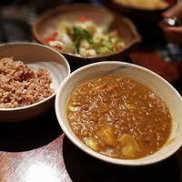 curry and rice at Megumi in Osaka
