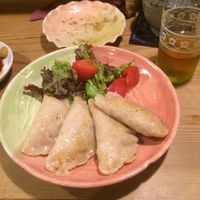 gyoza at Megumi in Osaka