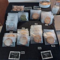 All Vegan at Apelila in Kyoto